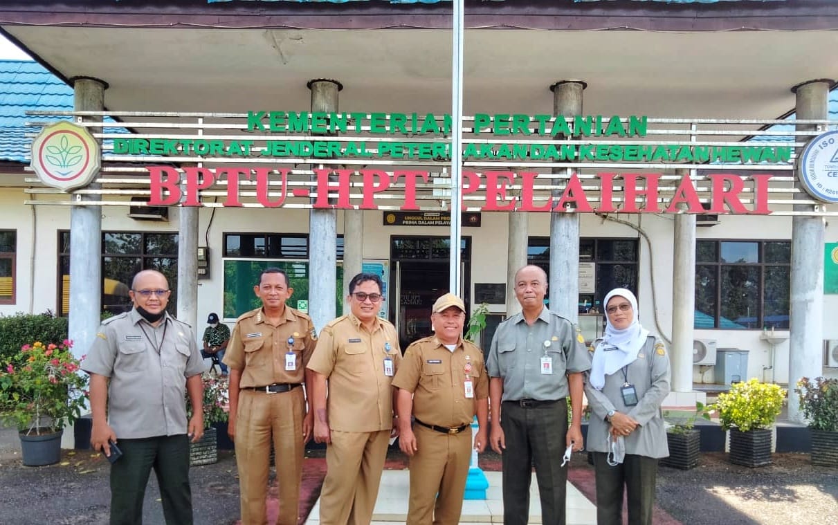 kunjungan kerja dengan mengunjungi Balai Pembibitan Ternak Unggul dan Hijauan Pakan Ternak (BPTU HPT) Pelaihari yang diterima langsung oleh Kepala BPTU HPT Pelaihari Kalimantan Selatan Senin (24/1/2022).