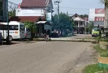 DLH Tabalong Ajak Warga Berpartisipasi Melaporkan Pohon Yang Berpotensi Rubuh Disekitar Ruas Jalan.