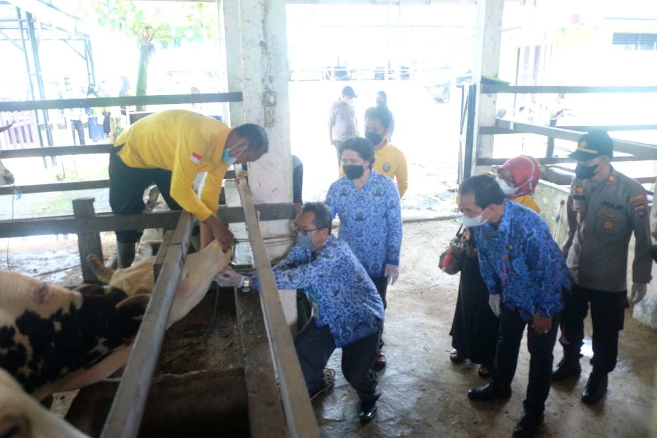 DKP3 Kabupaten Balangan bersama dengan tim gabungan Polres Balangan, Koramil, Anggota Dewan, dan Keswan Balangan melakukan kegiatan Biosecuriti