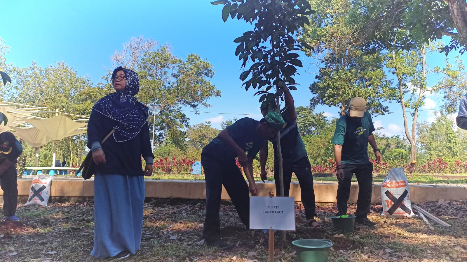 Bupati Tanah Laut, HM Sukamta saat menanam pohon.