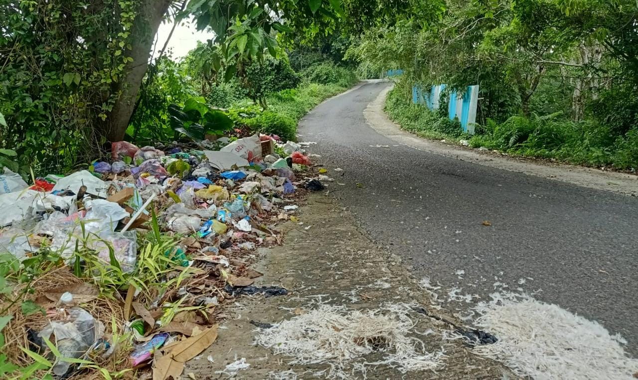 sampah hingga mengeluarkan bau busuk ditepi jalan tepatnya Desa Bihara Nungka, Kecamatan Awayan