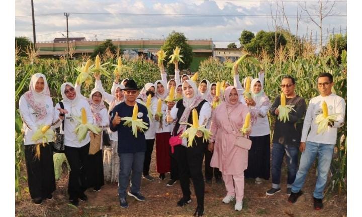 Ketua TP PKK Banjar Gelar Silaturahmi Sekaligus Panen Bersama di Kebun Milik TP PKK dan Dinas Pertanian.