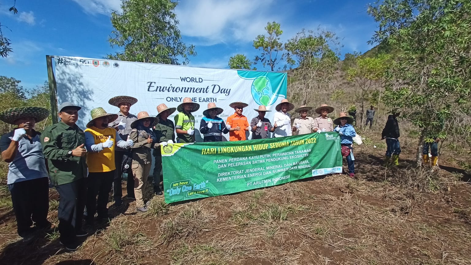 DPRKPLH Tala Apresiasi Kegiatan Panen Perdana Kayu Putih di Lahan Gunung Batu.
