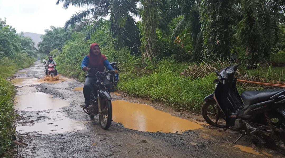 Jalan Desa Kandangan Lama, Kecamatan Panyipatan, Tanah Laut, menuju usaha tani rusak parah.