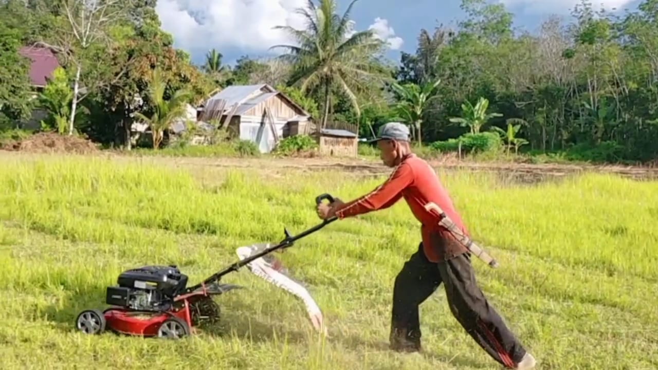 Seorang warga Bersihnya lapangan sepakbola Bung Karim, Desa Gunung Batu