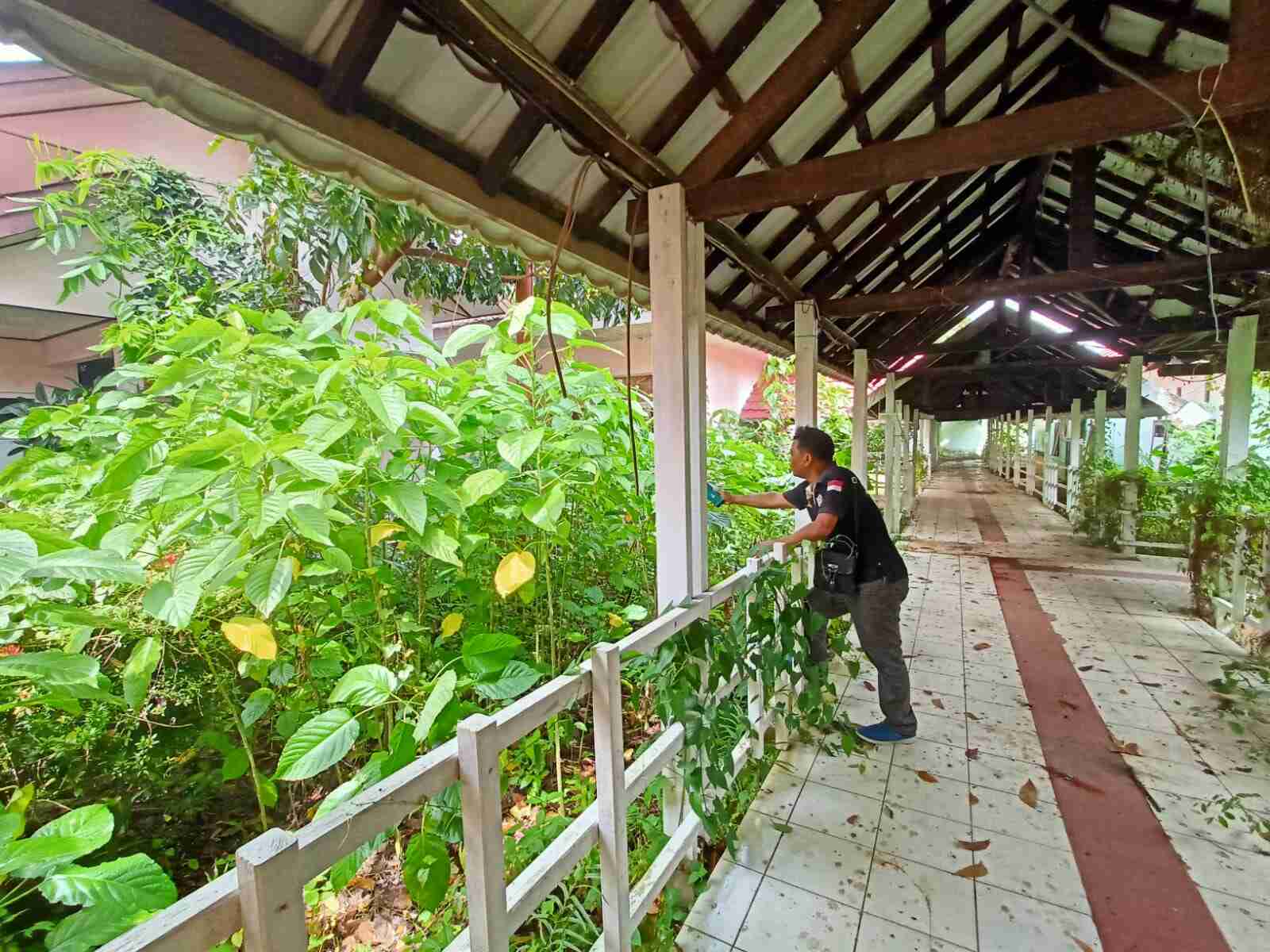 Bagian Belakang Eks RSUD Hadji Boejasin Ditumbuhi Semak Belukar. ( Photo// Jurnalis lenterakalimantan.com , Asep Sobari)