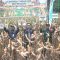 Bupati HST, H Aulia Oktafiandi saat panen raya jagung hibrida, di Desa Hinas Kiri (09/12/2022).