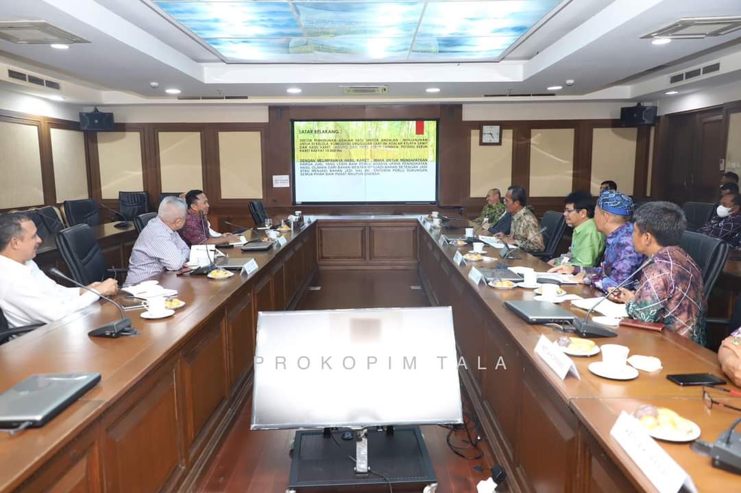 Bupati Tanah Laut kunjungan kerja ke Kementerian Koperasi dan UKM (Kemenkop UKM) di Jakarta Selatan, Rabu (11/1/2023). Foto: Dok. Prokim Tala