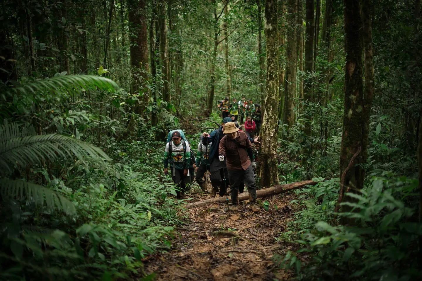 Bupati HST H Aulia Oktafiandi saat memimpin langsung Ekspedisi Meratus dengan berjalan kaki sejauh 57 kilometer demi mengunjungi masyarakat di daerah terpencil. Foto: Humas Sekda HST/5W1H.