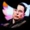 Ilustrasi Ceo Twitter Elon Musk. Foto: REUTERS/Dado Ruvic