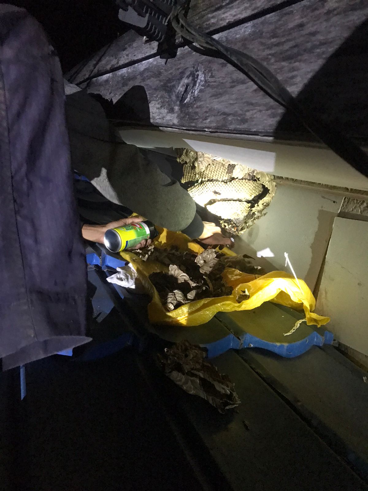 Foto : Tim Dinas Pemadam Kebakaran (Damkar) Pos Simpang Empat saat proses Evakuasi sarang Tawon di atap Rumah warga Sumbe Foto : Arif LK