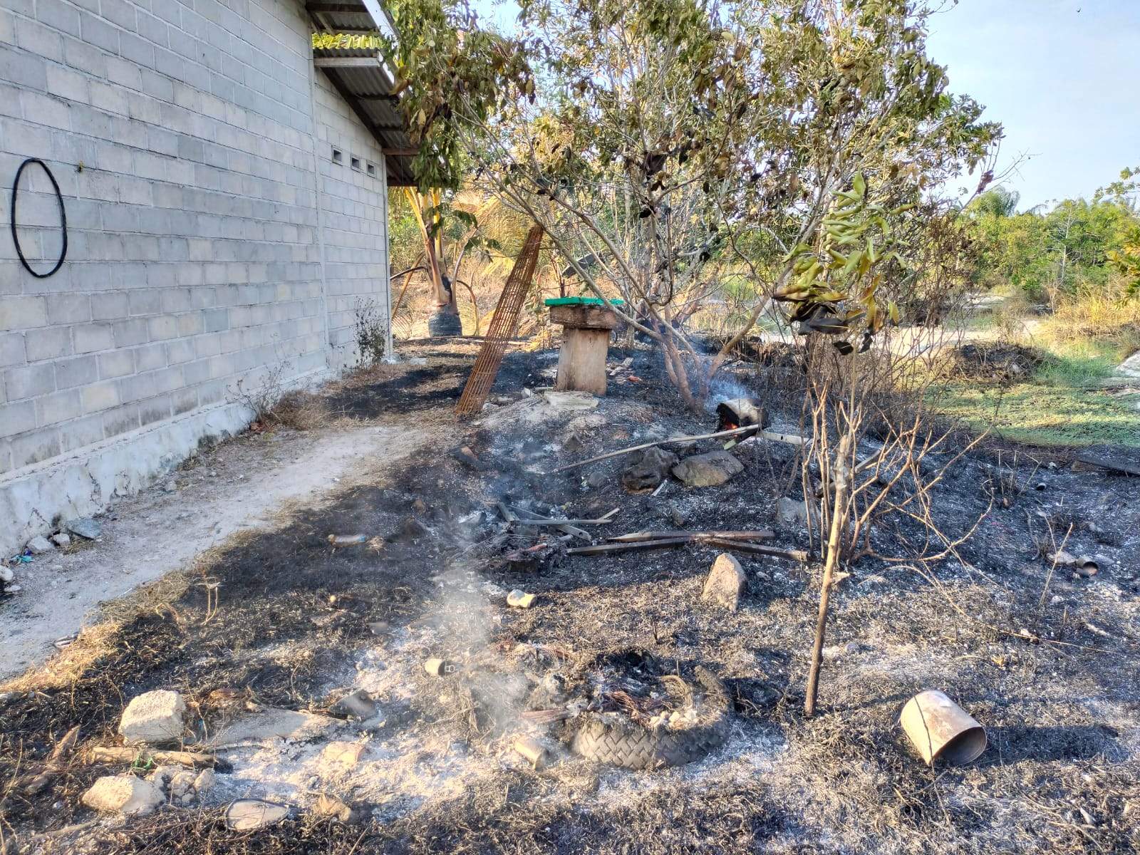 Kebakaran hutan dan lahan ( Karhutla) yang meludeskan peternakan lebah madu kelulut di Trans Krikil Desa Telaga Langsat, Kecamatan Takisung, Kabupaten Tanah Laut.