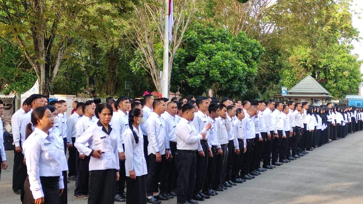 Pendaftaran PPPK yang telah resmi dibuka di HST. Foto: Pemkab HST