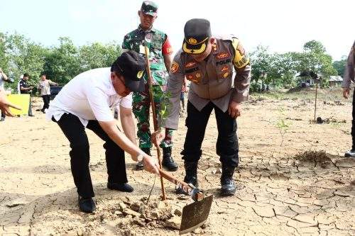 Wakil Bupati HST H Mansyah Sabri saat melakukan penanaman pohon. Foto: Pemkab HST