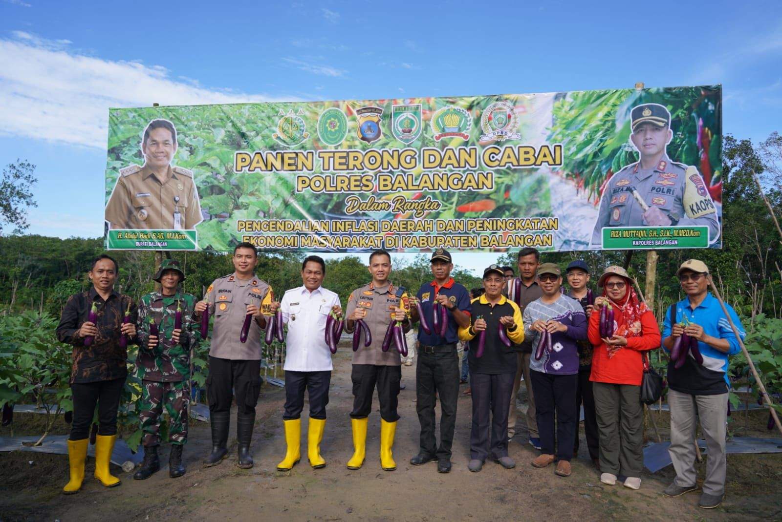 Panen cabai dan terong bersama Bupati dan Kapolres Balangan di lahan milik Kasat Intel Polres Balangan. Foto: Prokopim Balangan 5w1h