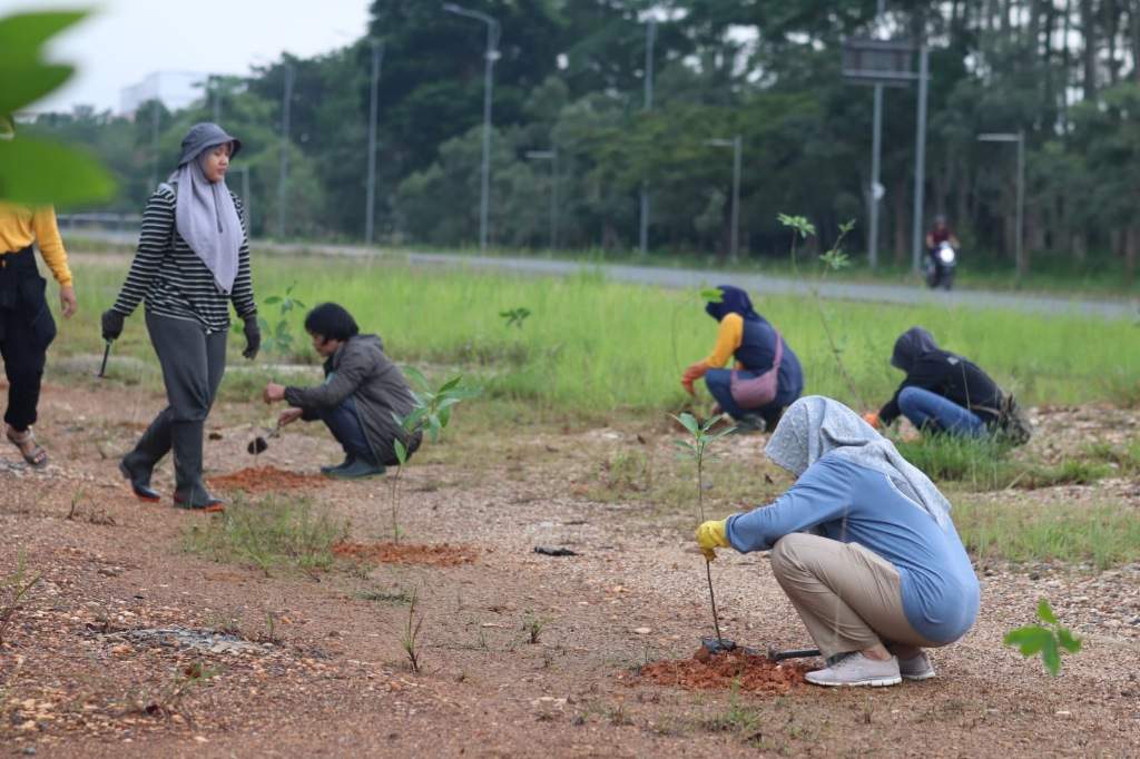 Dishut Provinsi Kalsel bersama Balai Perbenihan Tanaman Hutan (BPTH) melakukan penanaman, di areal Forest City Perkantoran Gubernur Kalsel sekitar Kantor Badan Riset dan Inovasi Daerah (BRIDA) Provinsi Kalsel, Banjarbaru, Jumat (23/2/2024). Foto: MC Kalsel