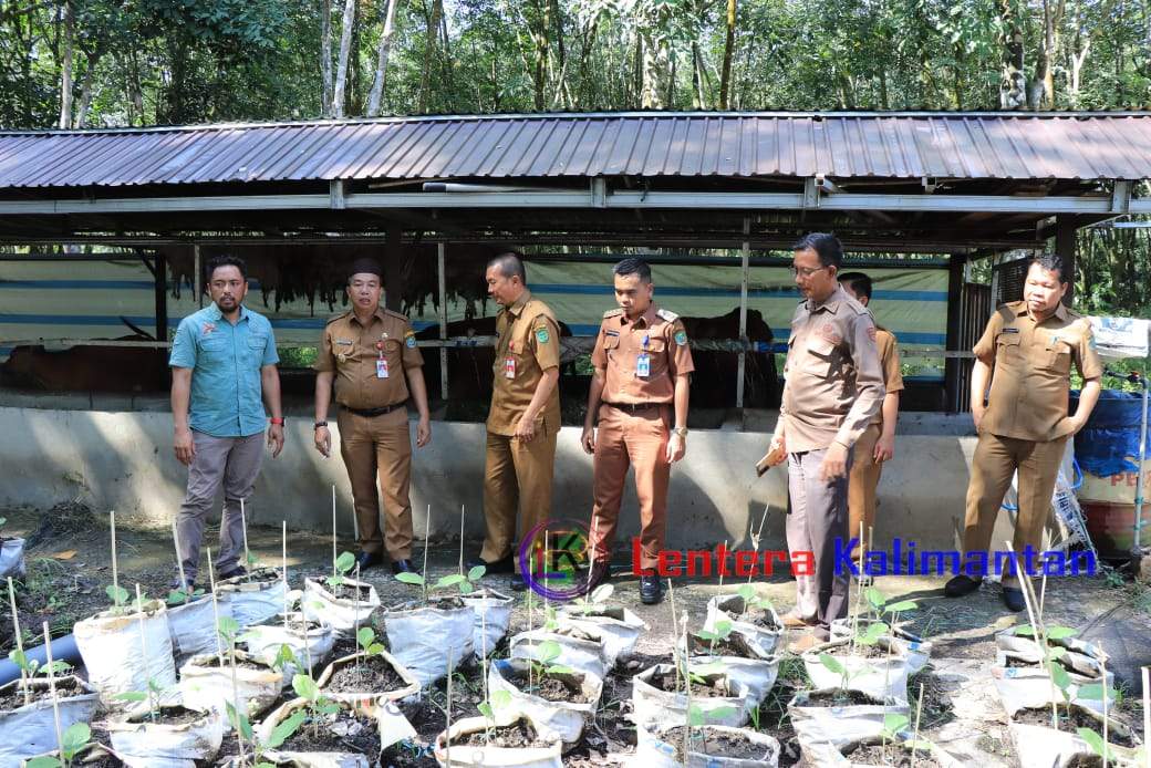 PJ Bupati Tapin M Syarifuddin MPd bersama jajaran kunjungi pusat Pengembangan Inovasi Posyantek Desa Pulau Pinang di sekretariat P4S Muda Berkarya Desa Pulau Pinang, Kecamatan Binuang, Selasa (20/02/2024). Foto: Ayiz/lenterakalimantan.com