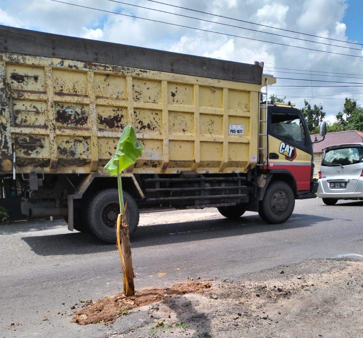 Warga tanam pohon pisang di jalan provinsi di Desa Banyu Irang, Kecamatan Bati-Bati, Kabupaten Tanah Laut. Foto: Warga Banyu Irang
