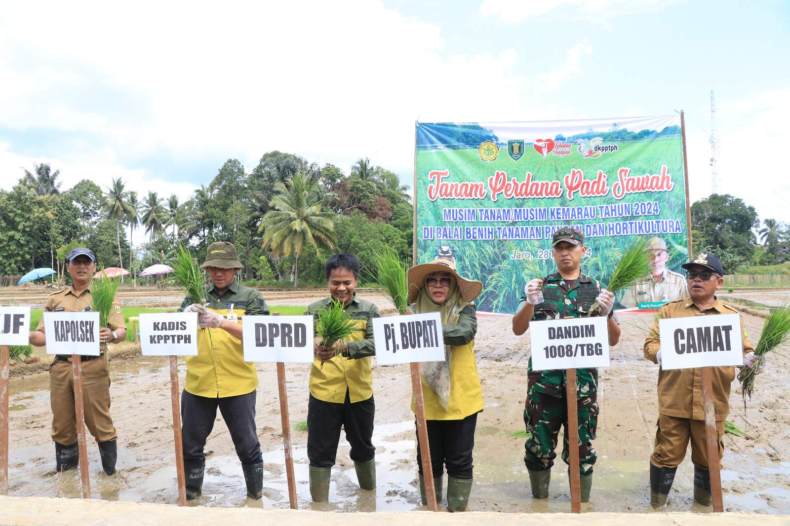 Pj Bupati Tabalong, Hj Hamida Munawarah bersama unsur Forkopimda menanam bibit padi unggul Mekongga. Foto: JM/lenterakalimantan.com