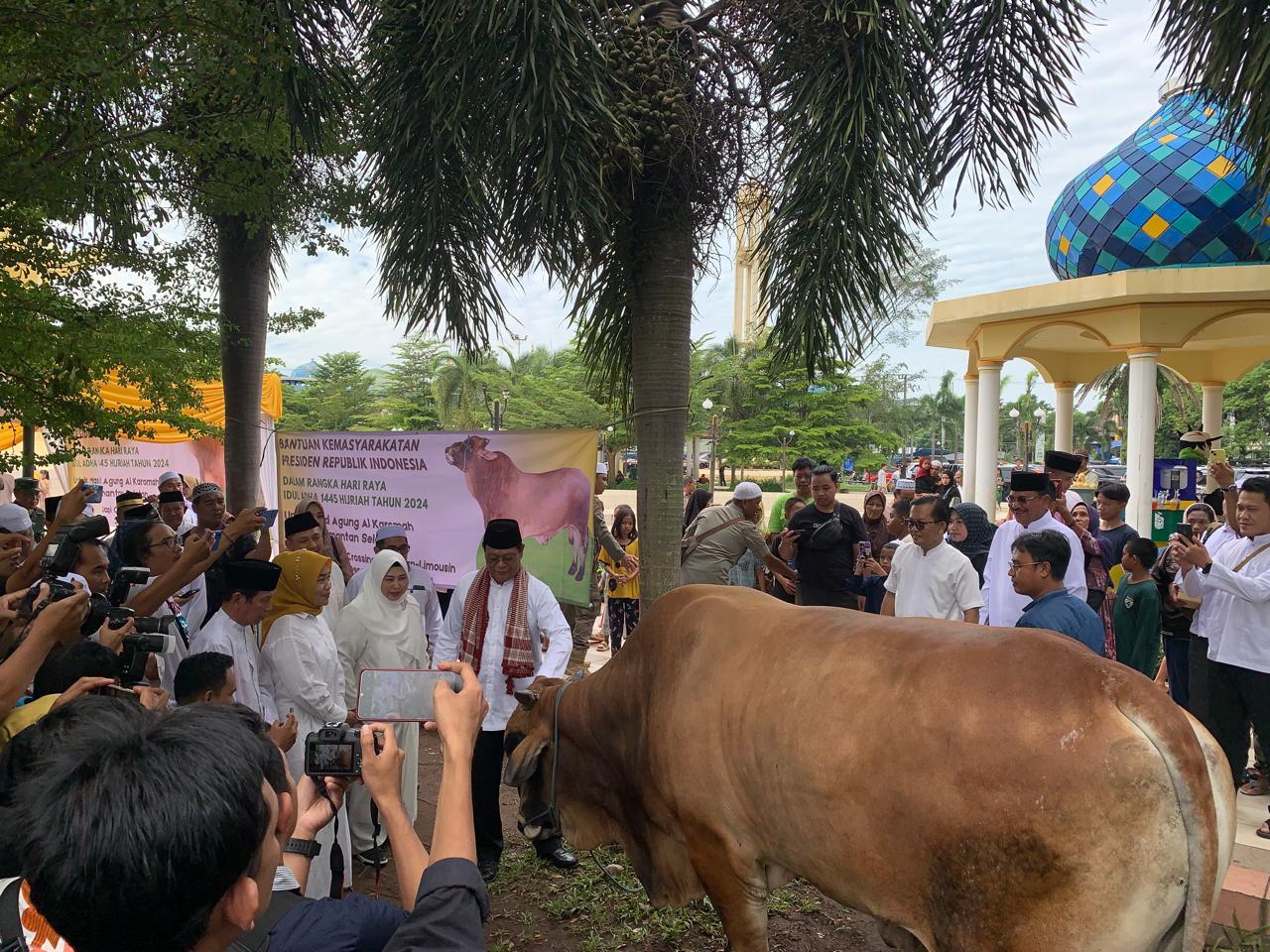Gubernur Kalimantan Selatan Sahbirin Noor didampingi Ketua TP PKK Provinsi Kalsel, Hj Raudatul Jannah atau sapaan akrabnya Acil Odah saat meninjau hewan kurban bantuan Presiden Republik Indonesia di Masjid Agung Al Karomah Martapura, Minggu (16/6/2024). Foto: Ikhsan/lenterakalimantan.com