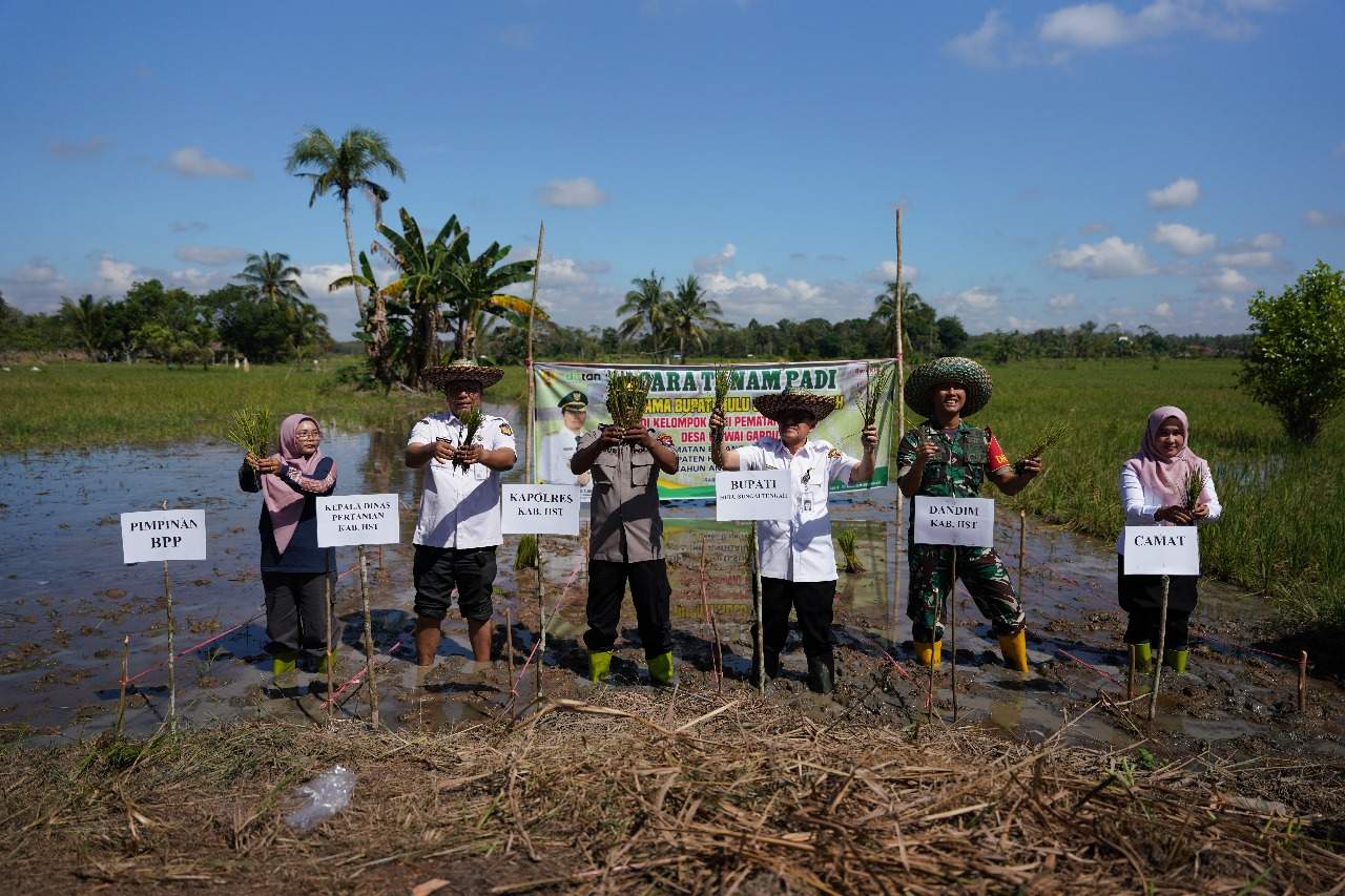 Wakil Bupati HST H Mansyah Sabri bersama tamu undangan lainnya saat beramai-ramai turun ke sawah menanam padi. Foto: Humas Bupati HST