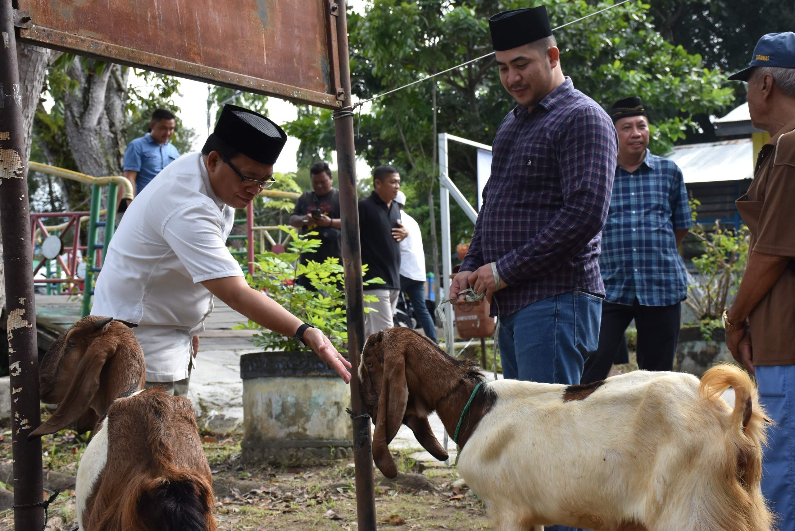 Pj Bupati Kapuas, Erlin Hardi serahkan 2 ekor hewan qurban ke Kantor Kelurahan Selat Hilir, Selasa (18/6/2024).