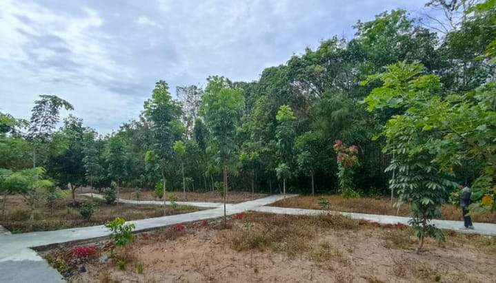 Salah satu kawasan hutan kota di Kabupaten Balangan. Foto : Windi/lenterakalimantan.com