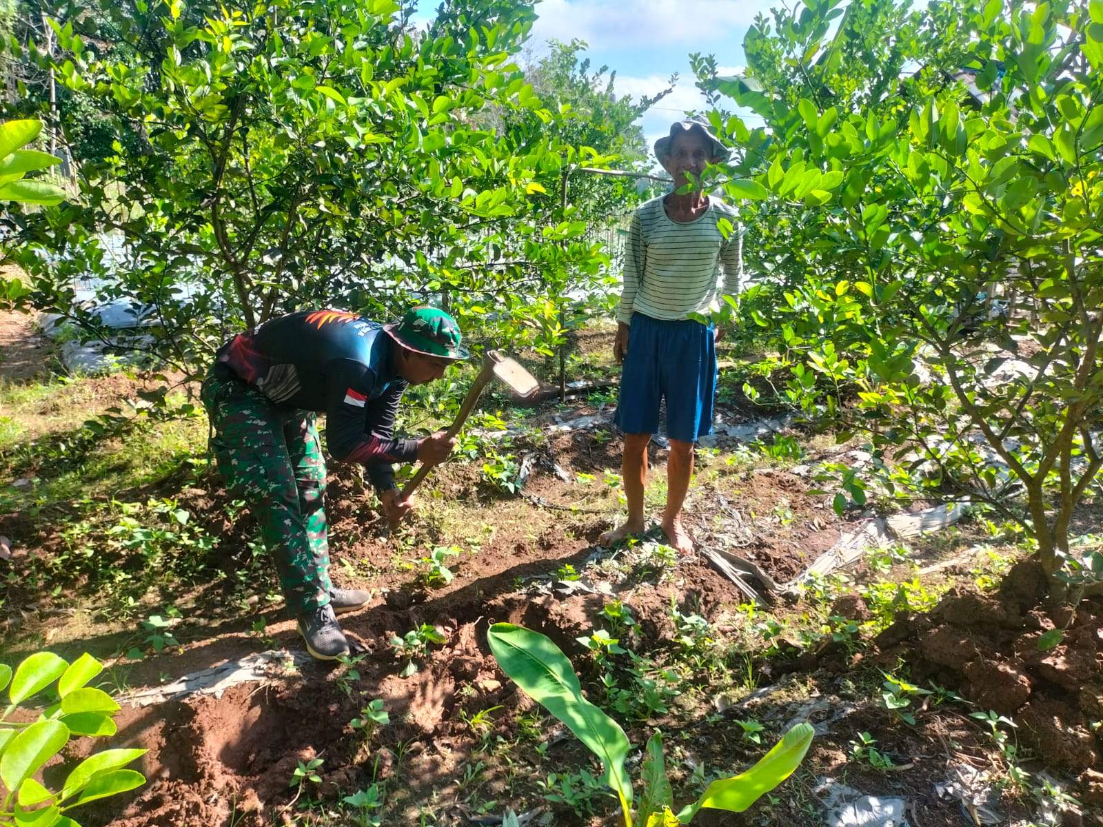 Satgas TMMD Ke 121 Kodim HSS saat bersilaturahmi dengan warga di kebun jeruk. Foto Pendim HSS