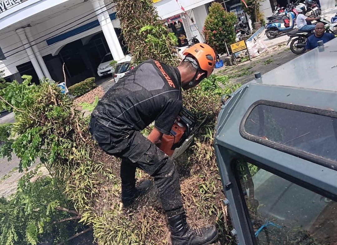 Personel BPBD Kota Banjarmasin memotong pohon yang tumbang untuk mempermudah proses pembersihan kawasan. Foto: BPBD Kota Banjarmasin