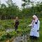 Tim Balai Penyuluhan Pertanian (BPP) Paringin Selatan, melaksanakan kegiatan anjangsana ke usaha budidaya tanaman hortikultura di Desa Telaga Purun, Paringin, Balangan. Foto: BPP Paringin Selatan