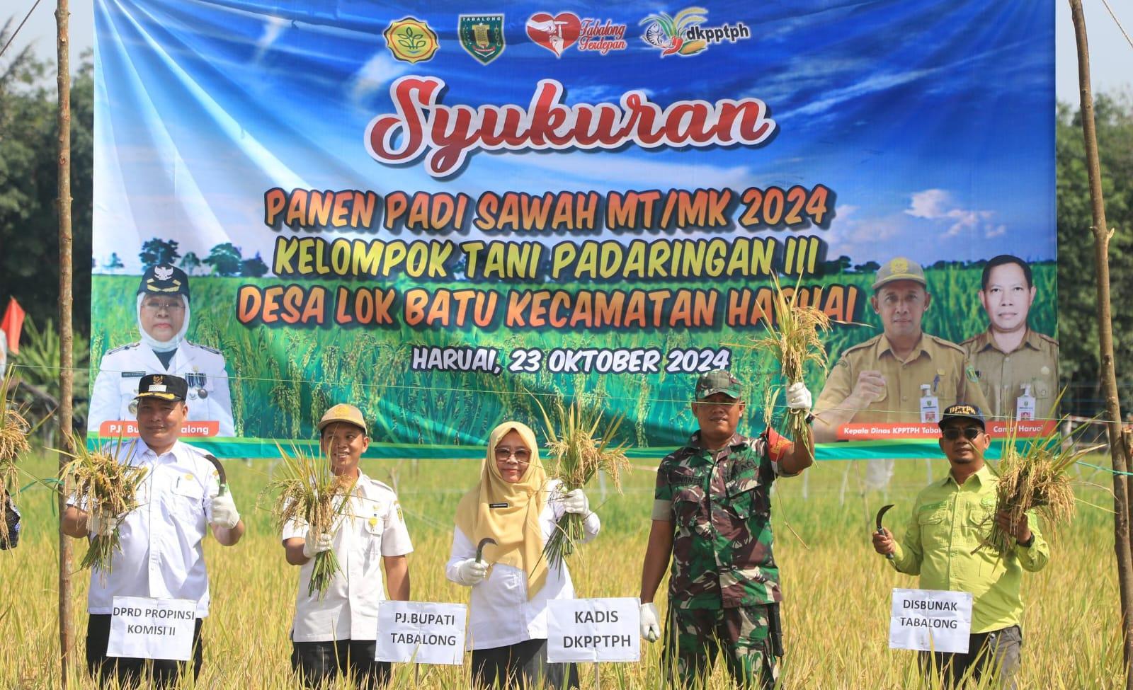 Pj Bupati Tabalong, Hj Hamida Munawarah memanen padi. Foto: Humas Prokopim Tabalong