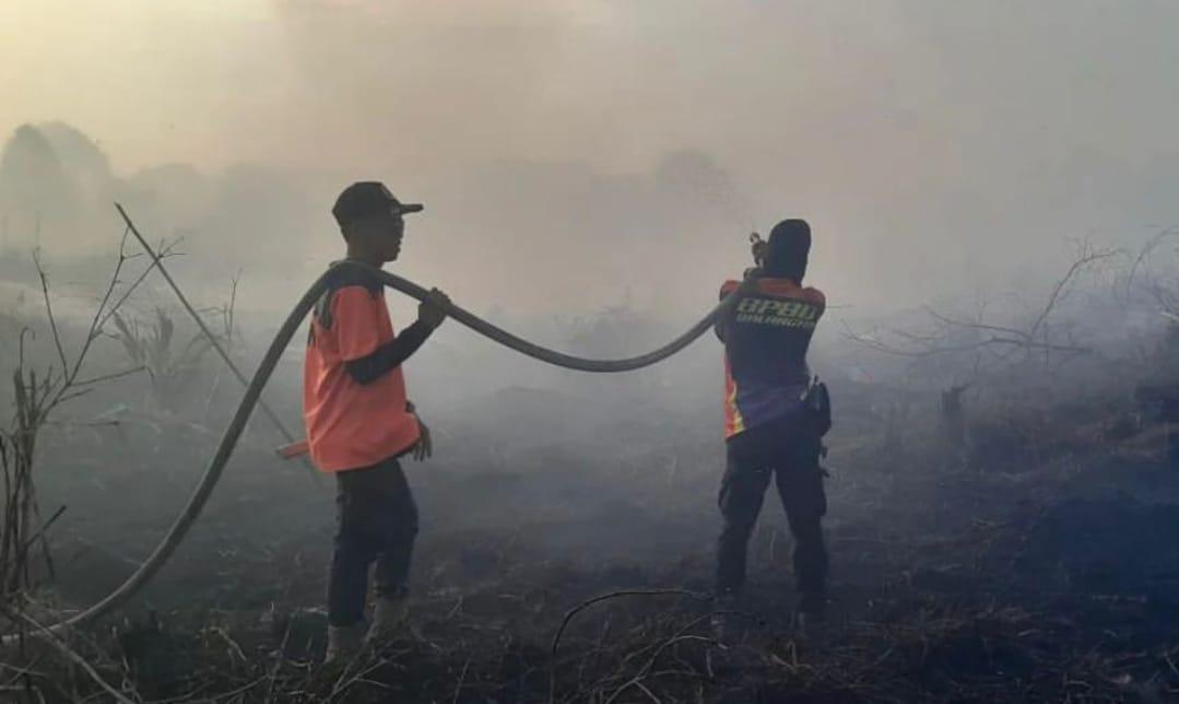 Petugas BPBD Balangan berupaya memadamkan karhutal yang terjadi di wilayah Kecamatan Lampihong, Balangan. Foto: BPBD Balangan, untuk lenterakalimnatan.com
