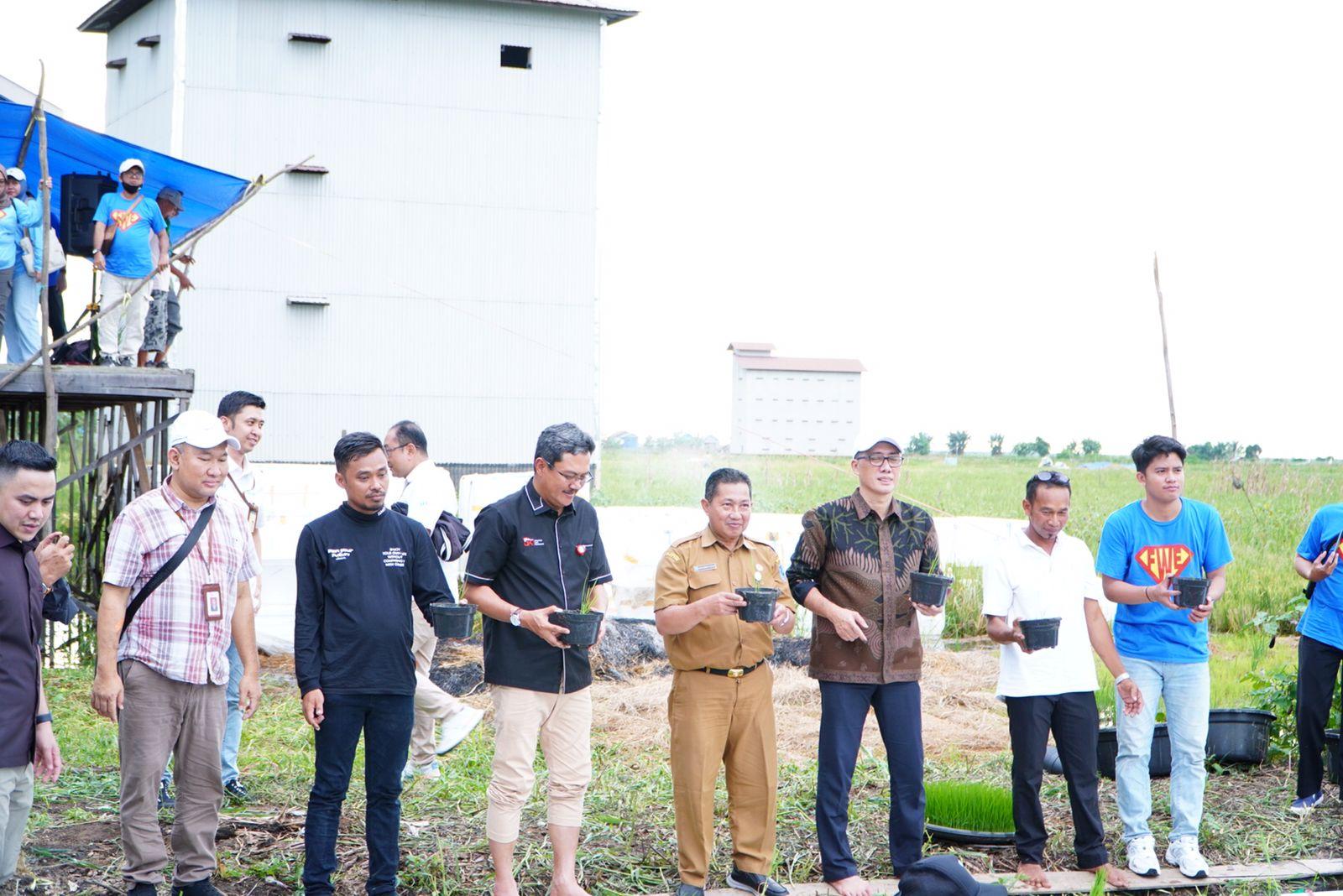 Pemerintah Provinsi Kalimantan Selatan (Pemprov Kalsel) tengah gencar mendorong program padi apung sebagai alternatif pengganti lahan pertanian yang sempit dan terkendala banjir.