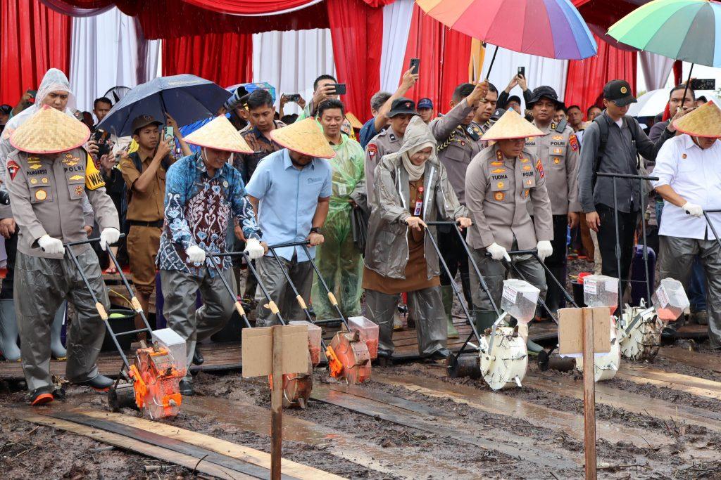 Kegiatan penanaman jagung serentak di lahan Kelompok Tani Desa Padang Panjang Kecamatan Sungai Tabuk, Kabupaten Banjar, Selasa (21/1/2025). Foto: MC Kalsel