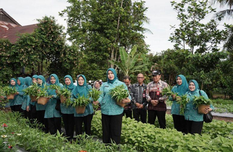 Pemkab Banjar, melalui Dinas Pertanian setempat berkolaborasi dengan TP PKK menggelar syukuran panen di Kebun PKK Jalan Sekumpul Ujung, Desa Bincau Martapura, Kamis (9/1/2025) pagi. Foto: Pemkab Banjar
