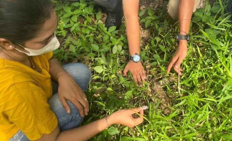 Jajaran Satresnarkoba Polres Balangan, saat melakukan penggeledahan kepada salah satu pelaku tindak pidana narkotika, perempuan berinisial YU (38) di Desa Lok Batu, Kecamatan Batumandi, Kabupaten Balangan. Foto: Humas Polres Balangan