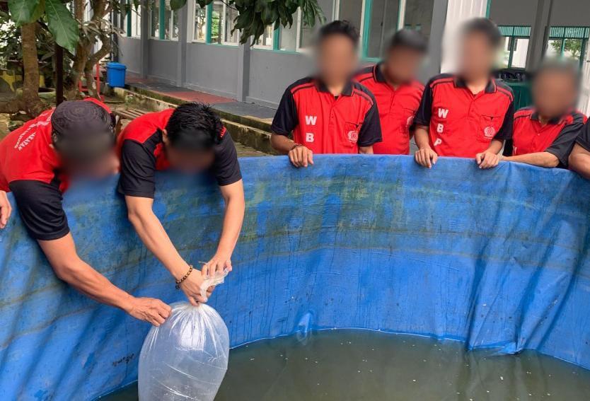 Para WBP menebar bibit ikan di kolam penampungan terpal. Foto: Humas Lapas Tanjung