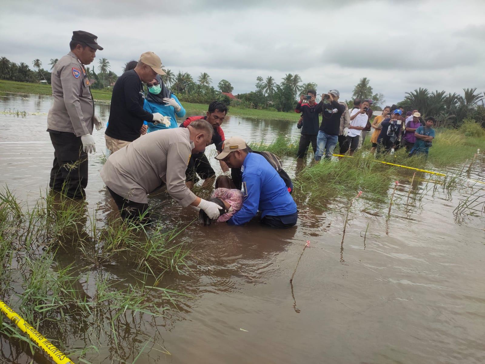 Penemuan mayat wanita tua di sawah, Kapolsek Kurau Iptu Bambang Hariansyah dan Tim Penolong evakuasi jasad korban. Foto: Istimewa