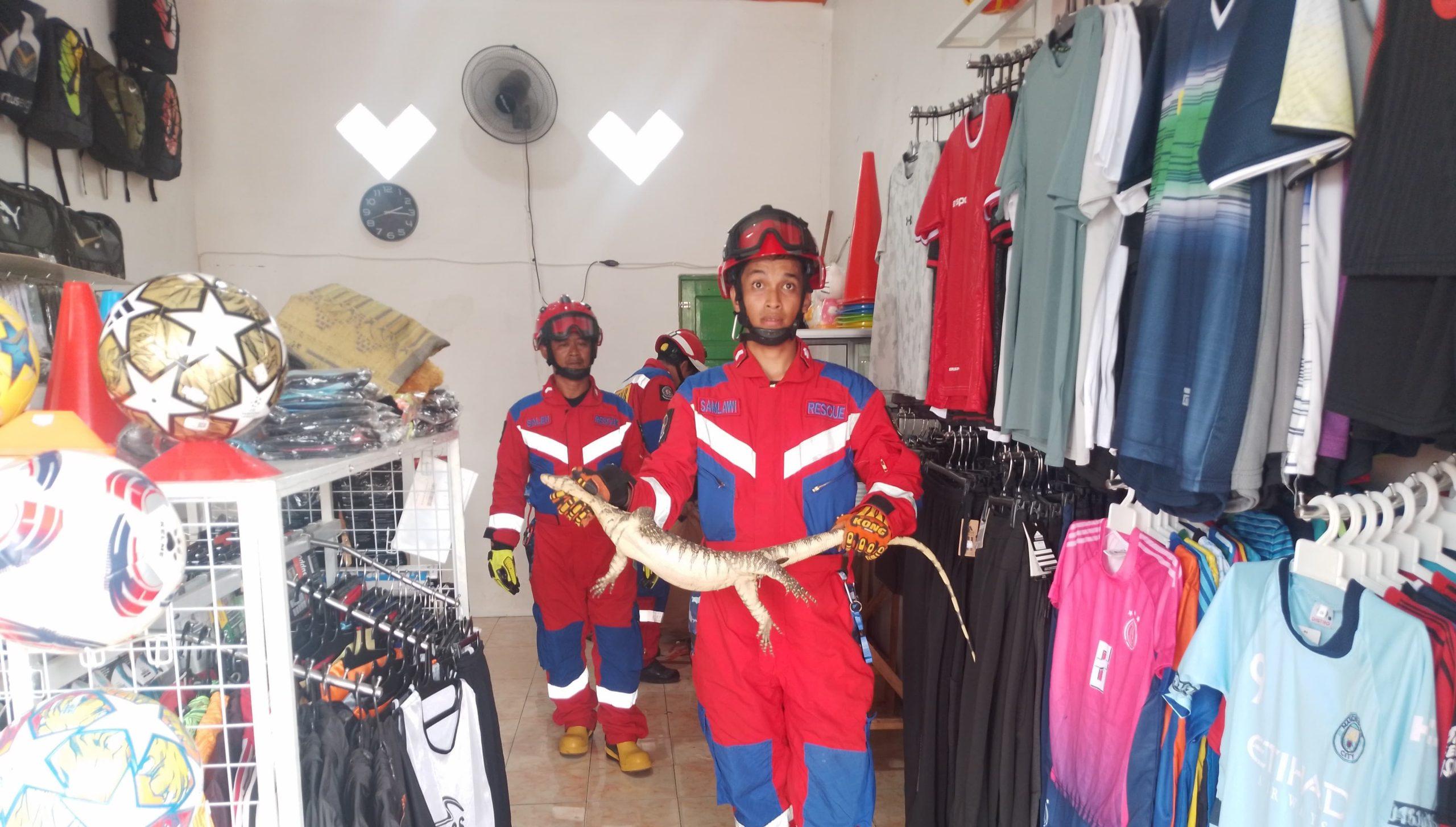Petugas DPKP Banjar mengevakuasi seekor biawak masuk ke toko baju di Martapura, Selasa (11/2/2025). Foto: DPKP Banjar