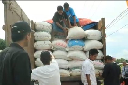 Panen Raya dan Tanam Padi di Maluka Baulin, Kecamatan Kurau, Tanah Laut. Foto: Asep/lenterakalimantan.com