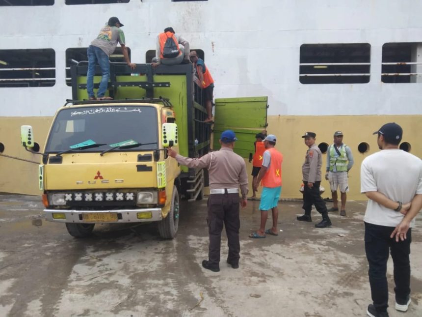 Petugas instansi bersama terkait melakukan pengecekan hewan ternak di Pelabuhan Trisakti Banjarmasin, Sabtu (22/3/2025) sore. Foto: Polsek KPL Banjarmasin