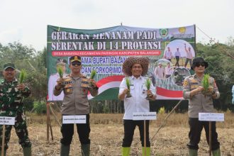 Jajaran Forkopimda Balangan, terdiri dari Bupati Abdul Hadi, Kapolres Balangan, AKBP Yulianor Abdi, Pabung Kodim 1001/HSU-BLG, Dirjen Perlindungan dan Optimalisasi Lahan Kementerian Pertanian RI, Brigjen Pol Andi Herindra Rahmawan, saat menggelar aksi menanam padi secara serentak di Bumi Sanggam. Foto: Humas Polres Balangan