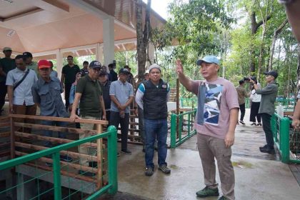 Ekowisata Nyaru Menteng