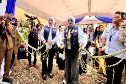 Wakil Ketua Tim Pembina Posyandu Kalsel