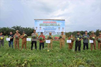 Bupati Kapuas