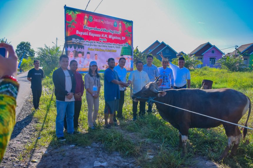 Bupati Kapuas Serahkan Hewan Kurban ke Masjid Al Mila