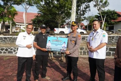 Pemprov Kalteng Salurkan 600 Sapi Kurban ke seluruh Kabupaten/Kota. Foto: Ant/lenterakalimantan.com