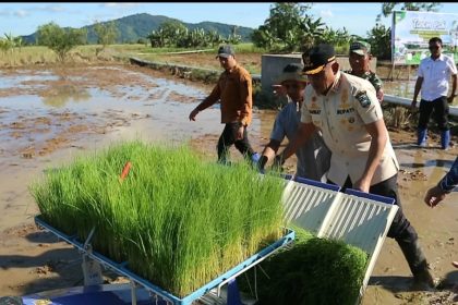 Kegiatan Bupati Rahmat menyerahkan Alsintan di lokasi Persawahan Lok Serapang Pelaihari ( dok foto Asep LK)