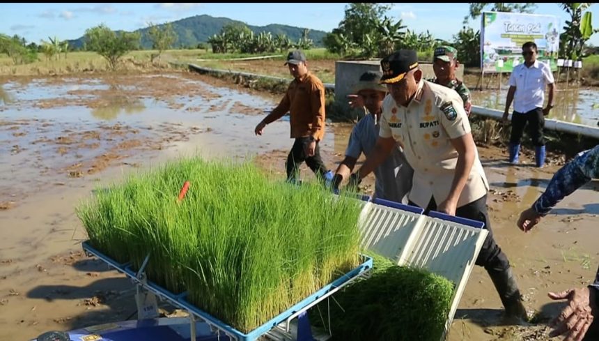 Kegiatan Bupati Rahmat menyerahkan Alsintan di lokasi Persawahan Lok Serapang Pelaihari ( dok foto Asep LK)