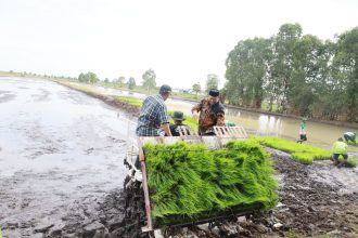 Bupati H. Bahrul Ilmi, menghadiri acara Syukuran Lahan Brigade Pangan bertajuk "Pangan Lestari" yang diselenggarakan di Desa Jejangkit Muara pada Kamis (19/06/2025).
